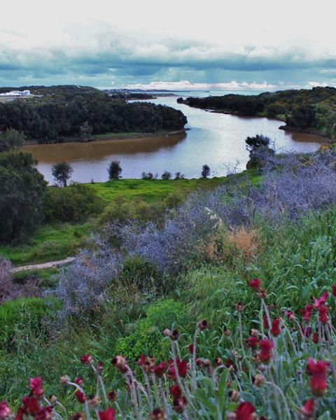 Dongara Breeze Inn ภายนอก รูปภาพ